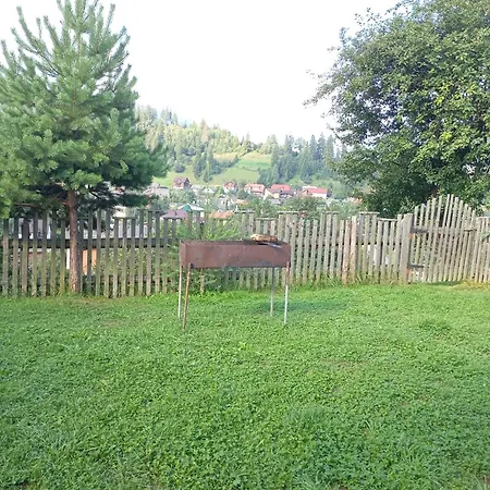 度假居 гірський краєвид